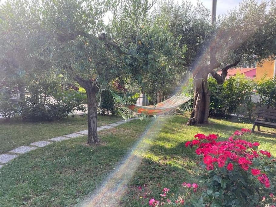 La Dimora Delle Rose Lägenhet Passignano sul Trasimeno Exteriör bild
