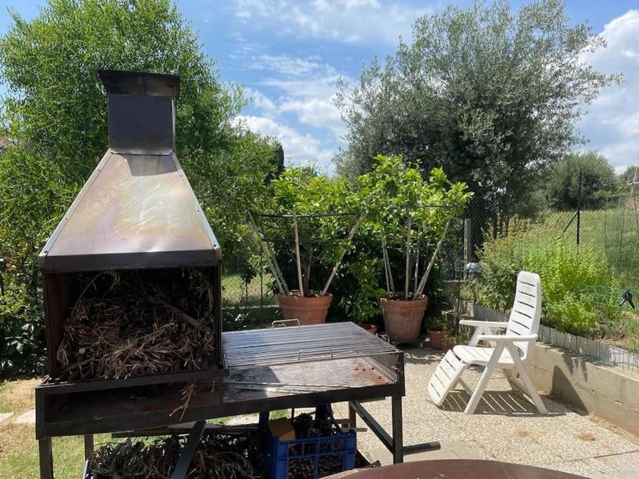 La Dimora Delle Rose Lägenhet Passignano sul Trasimeno Exteriör bild