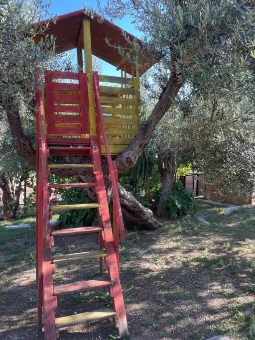 La Dimora Delle Rose Lägenhet Passignano sul Trasimeno Exteriör bild